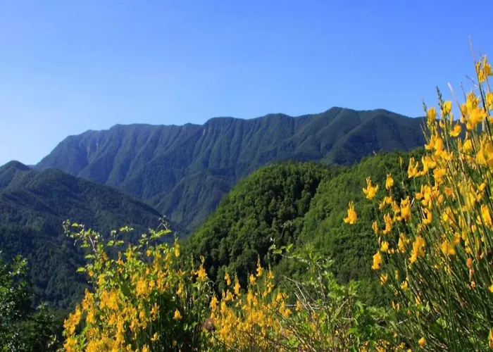 بيت للعطل Historic Tuscan