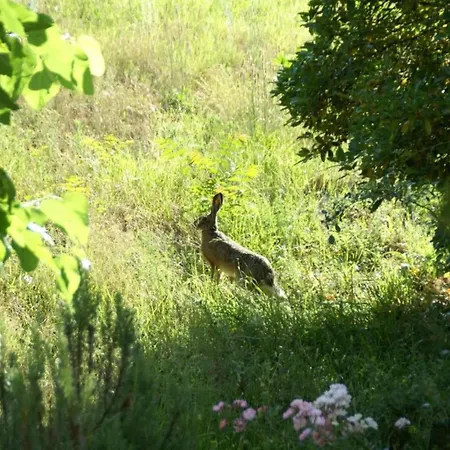 Historic Tuscan Reggello