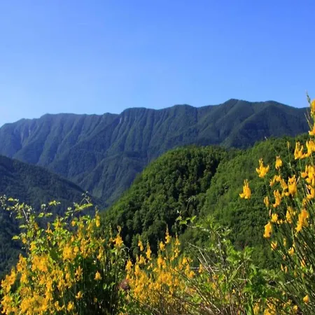 Сasa de vacaciones Historic Tuscan
