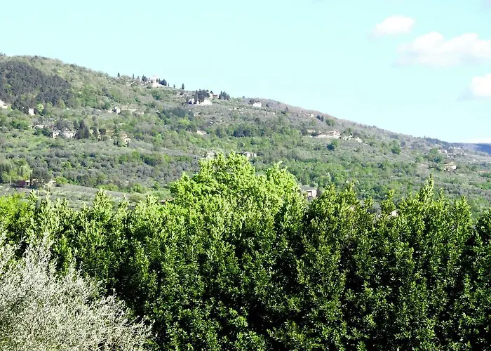 Historic Tuscan * 雷杰洛